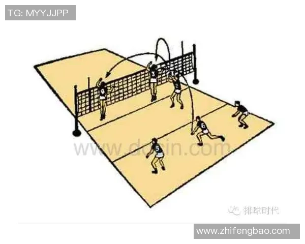 深入分析上海排球队的节奏打法与战术特点探讨 深入分析上海排球队的节奏打法与战术特点探讨