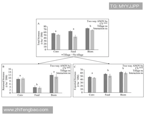 南特与波尔多对决分析及双方近期状态评估